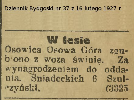 1927-Dziennik-Bydgoski-Szulczynski-zgubil-swinie.jpg